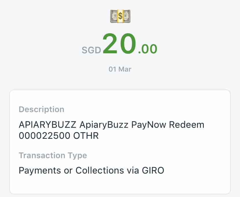 ApairyBuzz Payment