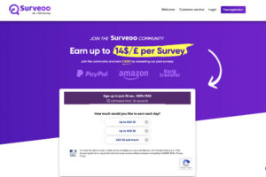 surveoo review